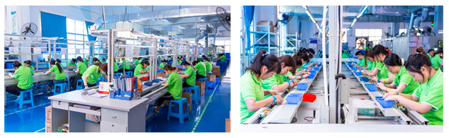 香港六宝宝资料大全