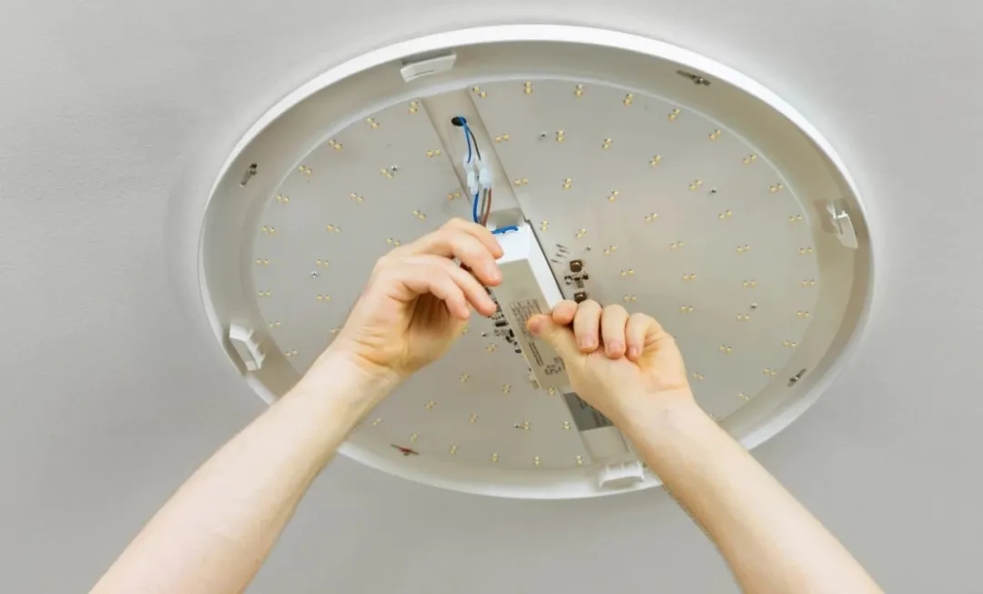 香港六宝宝资料大全